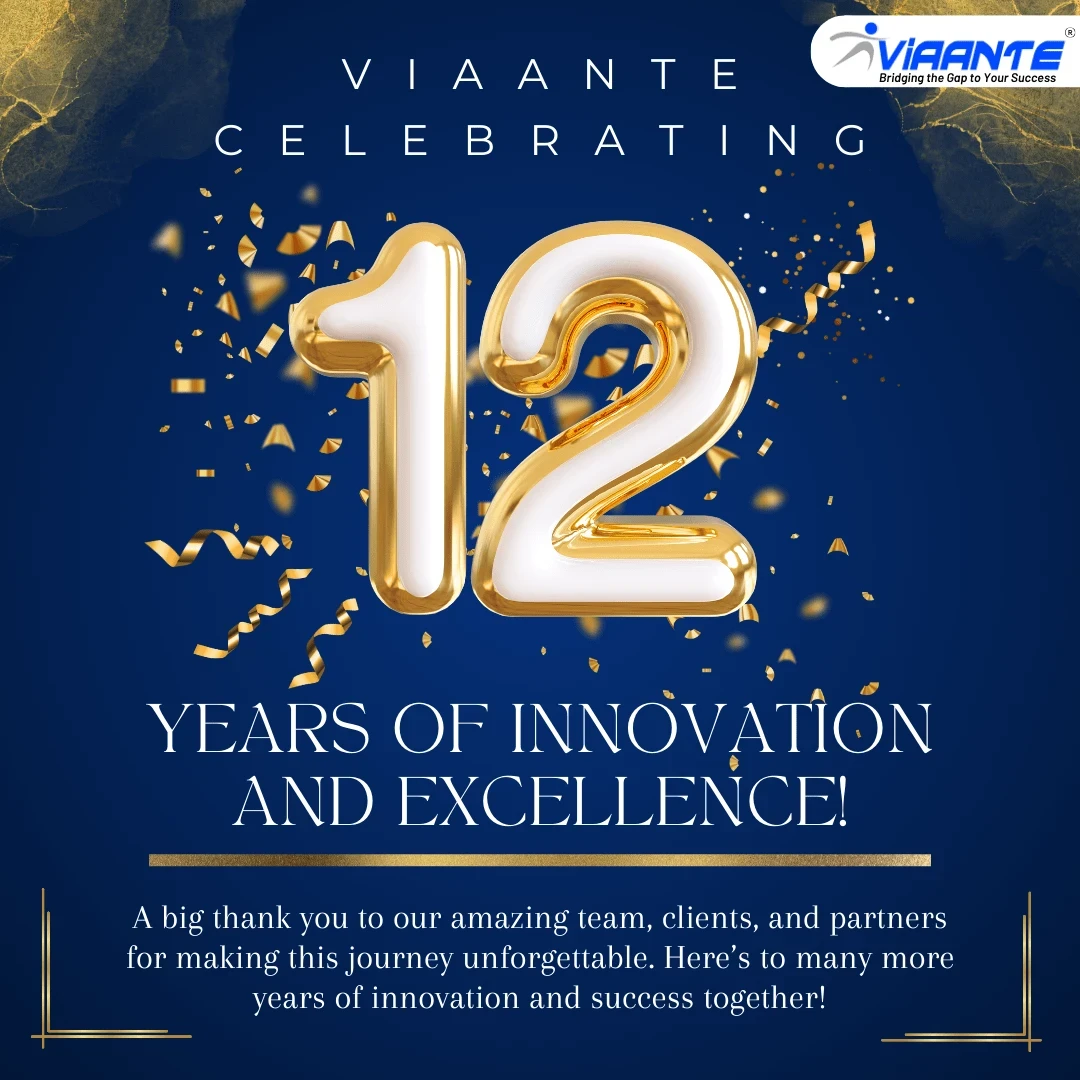 Viaante 12th Years Anniversary banner